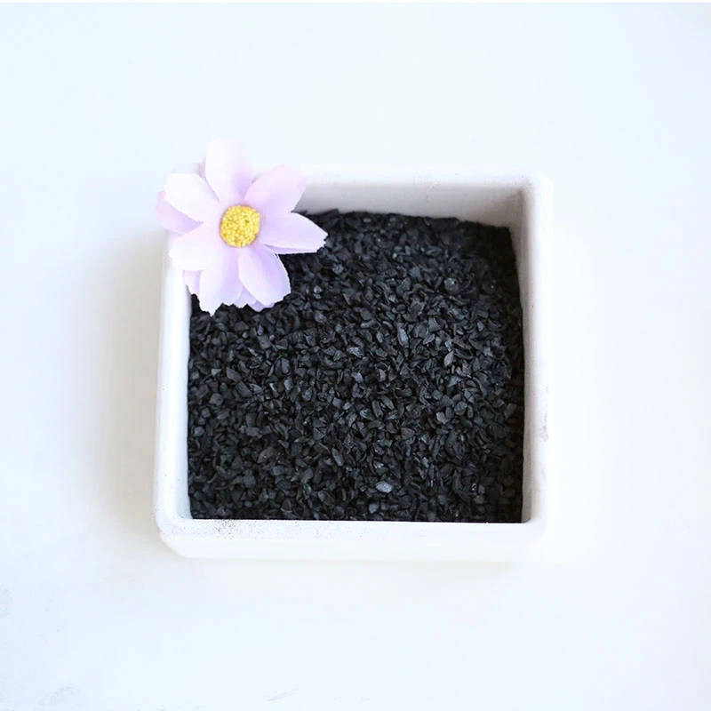 Should activated carbon be used for health and nutrition benefits?