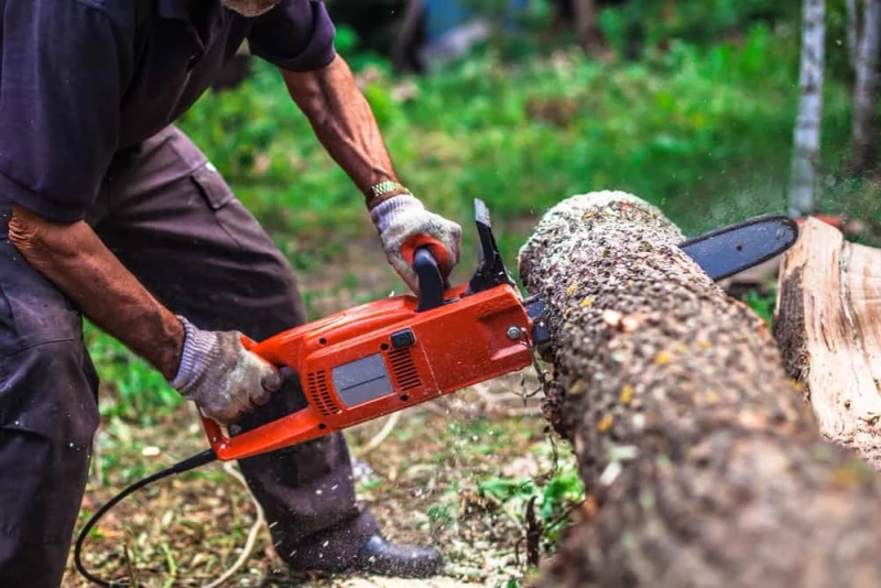 Buy Electric Chainsaw Online at Best Prices in India