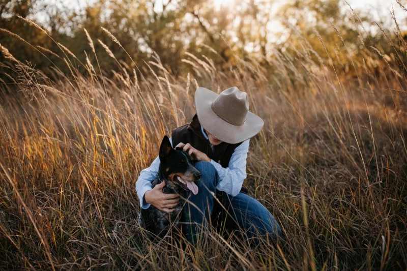 Dogs & Seasonal Allergies: How Allergies Affect Dogs & How to Help