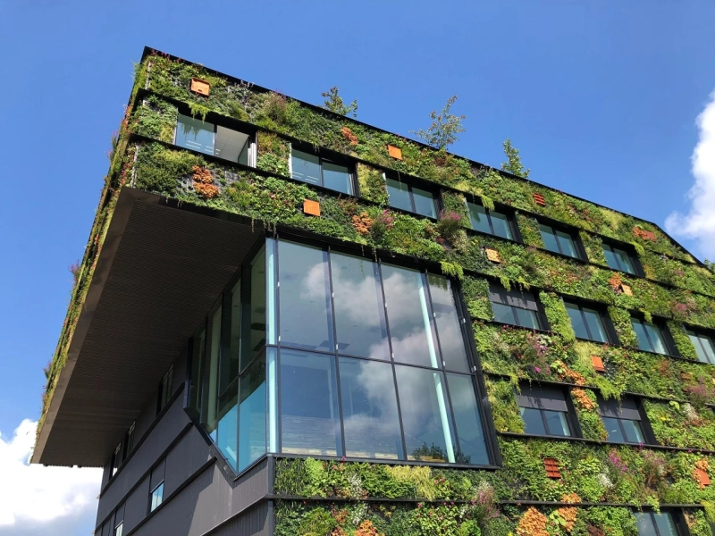 Why Sustainable Home Design Matters?