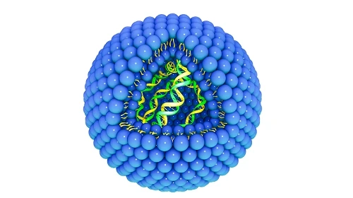 What are advantages of Liposomes in Drug Delivery System?