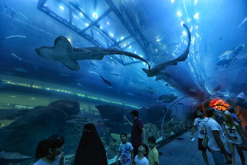 A GUIDE ABOUT DUBAI AQUARIUM AND UNDERWATER ZOO