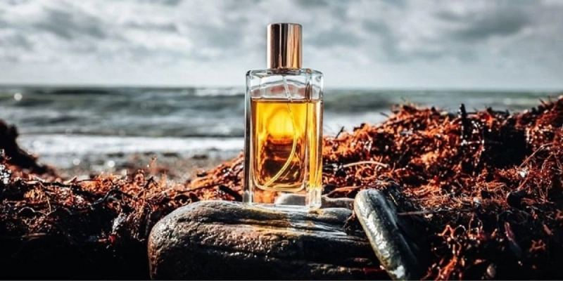 The Affordable Outremer French Fragrance That Everyone Wants