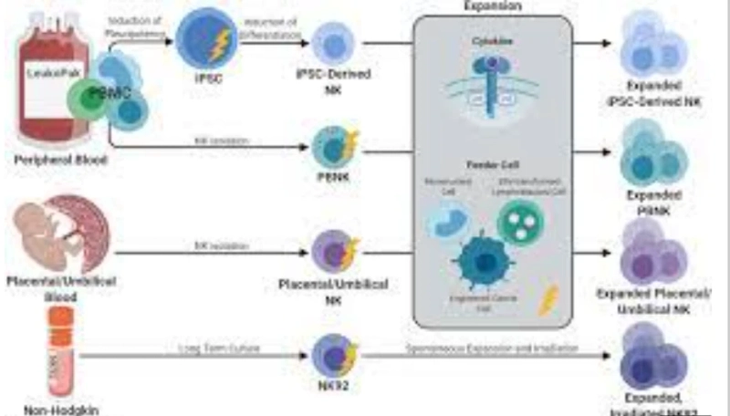 How Patient Support Groups Boosts NK Cell Therapy Experience: A Lifeline for Cancer Patients