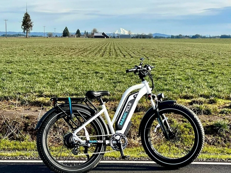Best Electric Mountain Bike under $2,000