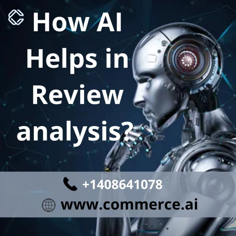 Review analysis services in various platforms by Commerce.AI