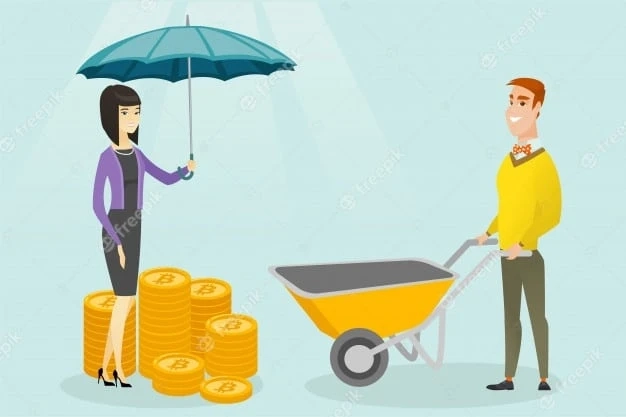 Launch your valuable crypto Platform for DeFi Insurance Applications to engage the market
