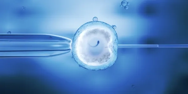 How to Stay Mentally Strong During IVF Treatment