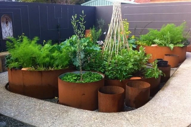 Raised Garden Bed: The Ultimate Solution For Growing Veggies Indoors