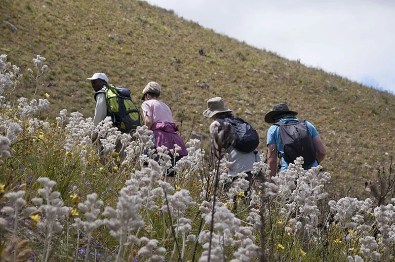 Discover South Africa with Green Mountain: From Casa Di Simonetta to the Blue Mountain Trail