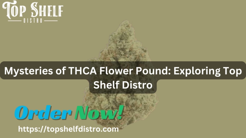 Mysteries of THCA Flower Pound: Exploring Top Shelf Distro