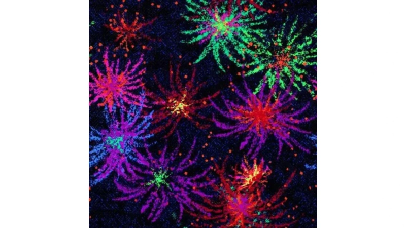 Why Are Smart Homeowners Choosing Carpet Tiles for Theater Rooms?