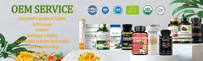 The Role of Nutraceutical Ingredient Suppliers in Modern Health and Wellness