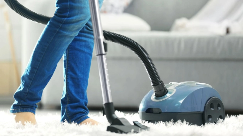 What Makes A Vacuum Cleaner Necessity For Pet Owners?