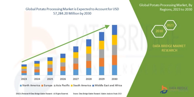 Global Potato Processing Market: A Comprehensive Overview of Evolution, Trends, and Growth Factors