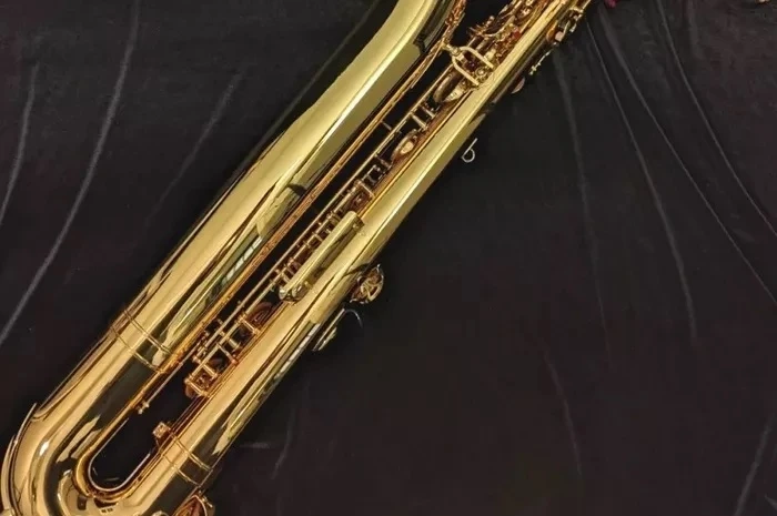 How Much Does a Baritone Saxophone Weigh? What to Expect