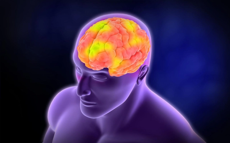 Exploring Aphasia: Causes, Symptoms, and Strategies for Effective Communication | DLI