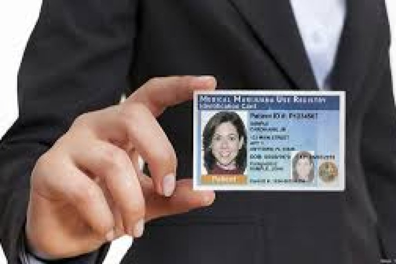 The Complete Guide to Getting a Medical Marijuana Card in Florida