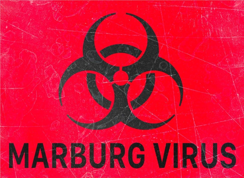 Decoding the Marburg Virus Disease Landscape: Your Essential Market Entry Companion | DLI