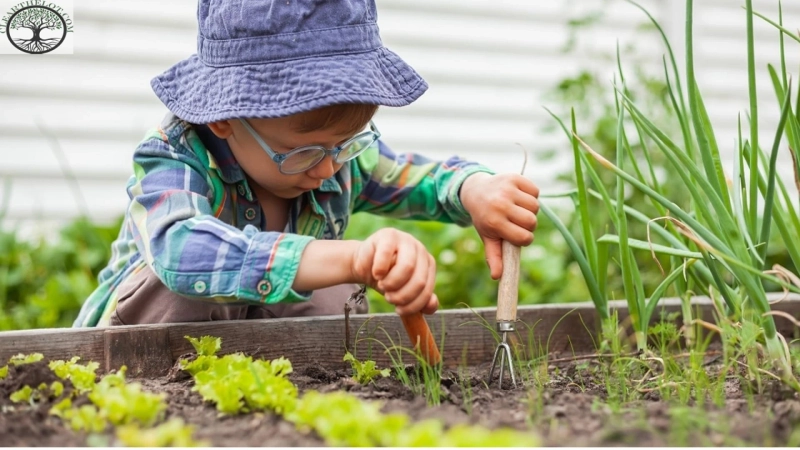 Garden Clearance: How to Begin and Nurture This Hobby