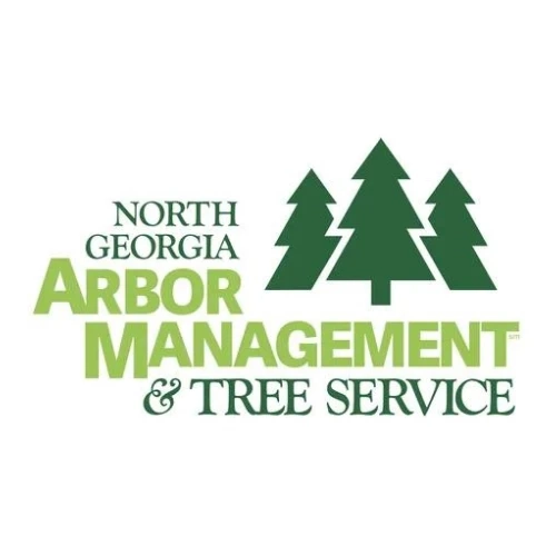 Factors to Consider When it Comes to Tree Removal