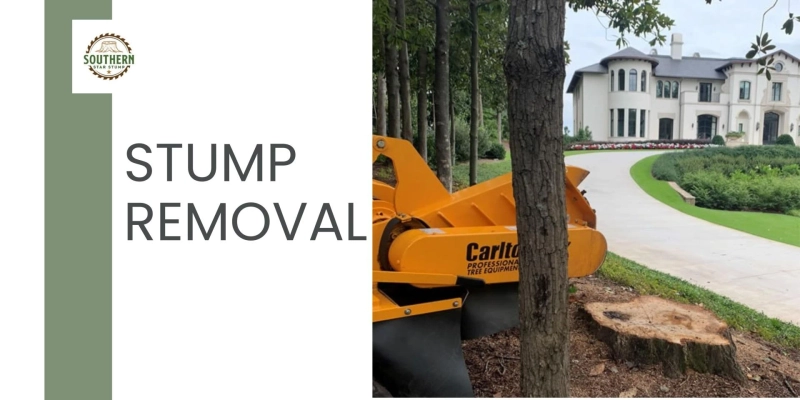 Clear Your Yard, Clear Your Mind: Professional Stump Removal That Works