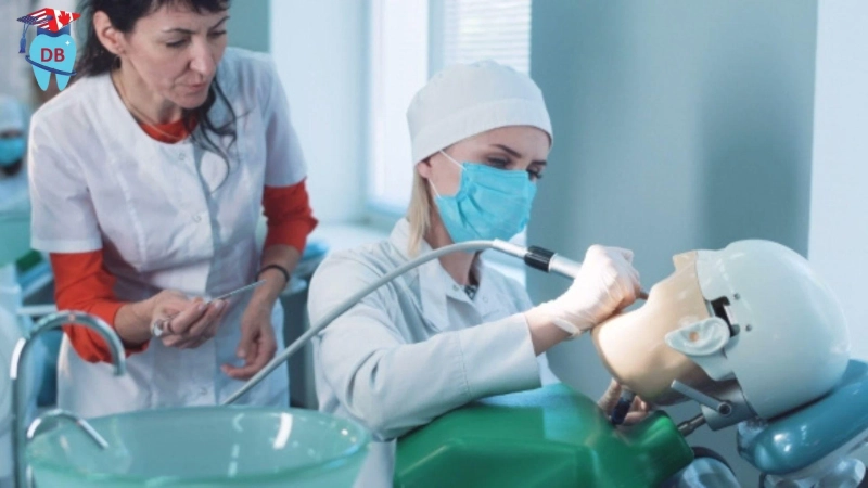 ADAT Online Coaching – A Practical Approach for USA & Canada Dentists