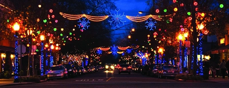 Elevate Your Holidays with Professional Holiday Decorating Services