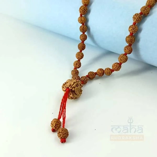 Original Rudraksha Malas | malas and Rosaries