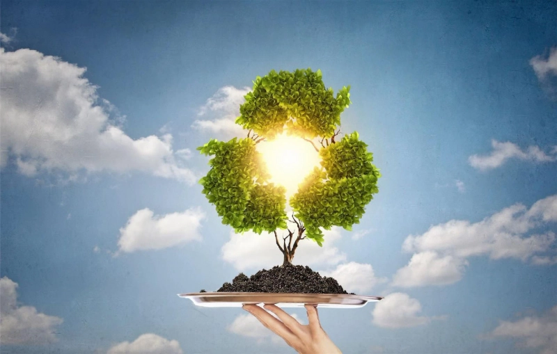 The Business Guide to Increasing Recycling Efforts