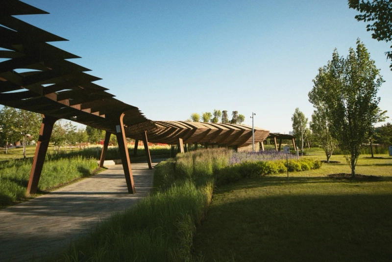 How to Save Money on Commercial Landscaping Without Sacrificing Quality