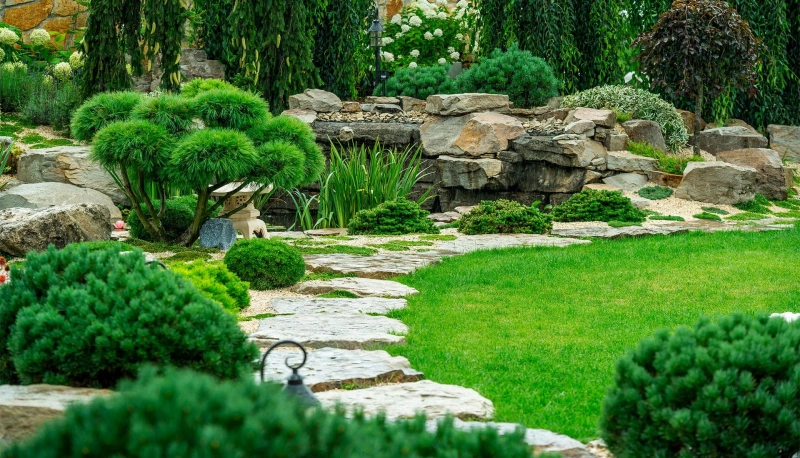 Why Do You Need the Services of a Professional Landscape Designer?