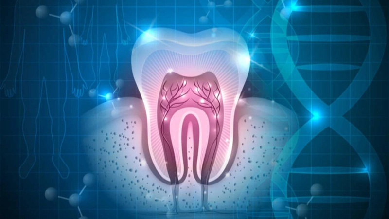 Tooth Regeneration Market during 2022-2030, According to new Research Report