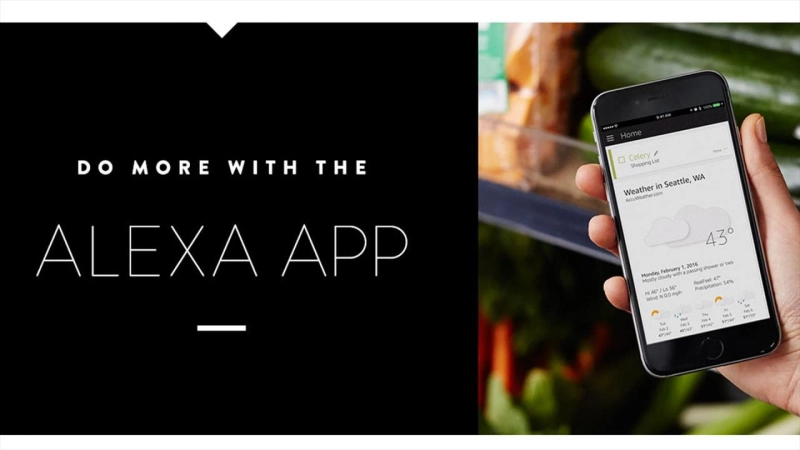 How to Use Alexa App For Echo Dot?