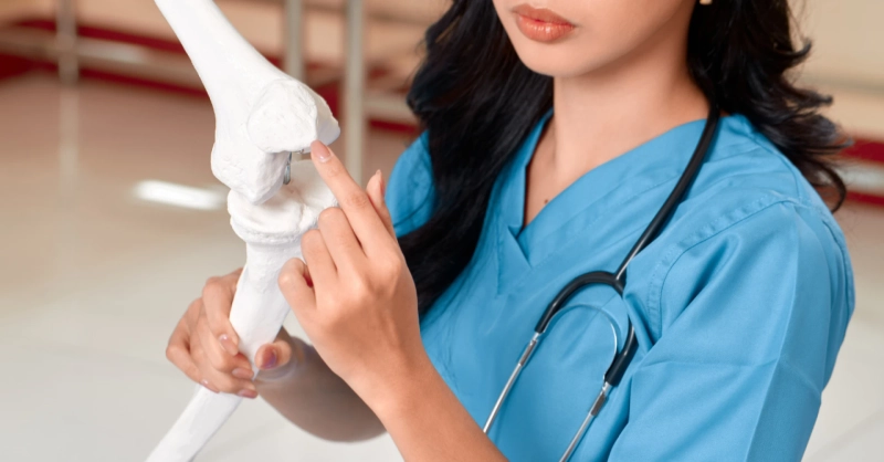 The Complete Guide to Joint Supplements for Dogs: What Every Pet Parent Should Know