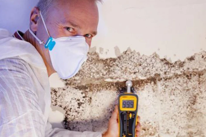 Six Noteworthy Steps to Remediate the Mold