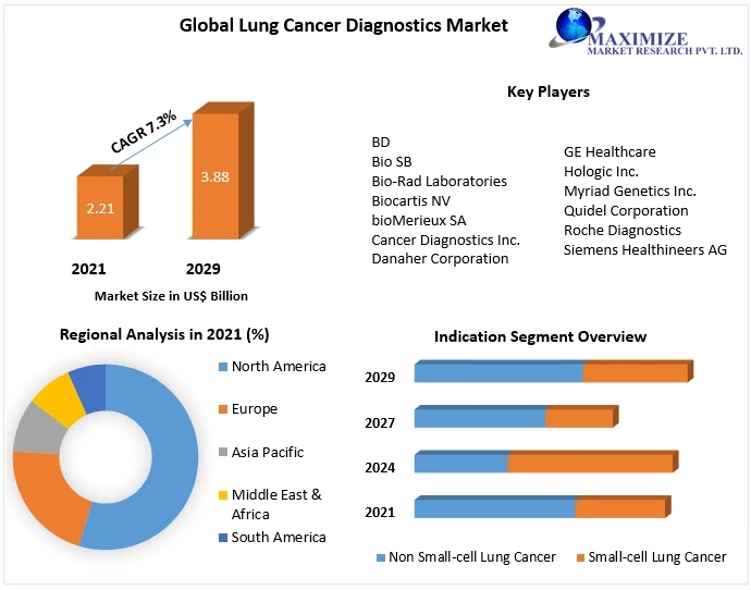 Lung Cancer Diagnostics Market Industry Trends, Size,Growth, Segmentation, Future Demands, Latest Innovation, Sales Revenue by Regional Forecast to 2029