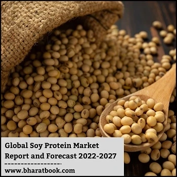Global Soy Protein Market Report and Forecast 2022-2027