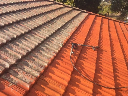 Signs that Indicate You Require the Best Roof Cleaning Services