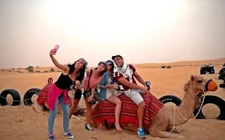 What are some facts about Desert Safari Dubai?