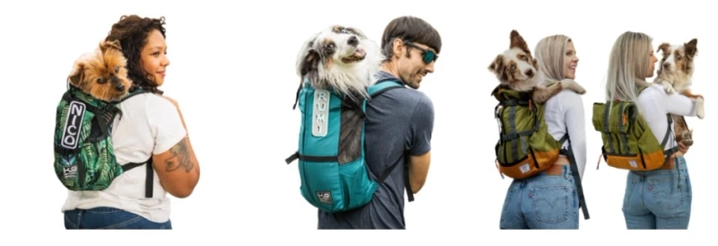 Benefits of Buying Dog Accessories Online