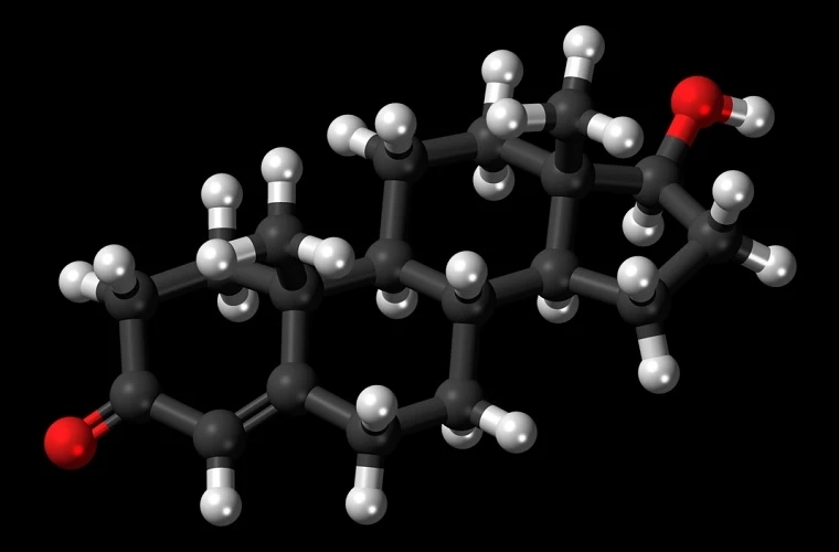 Ultima Testosterone is Very Popular among Bodybuilders