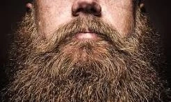 The Ultimate Guide to Beard Care: Tips, Routines & Products Every Man Should Know