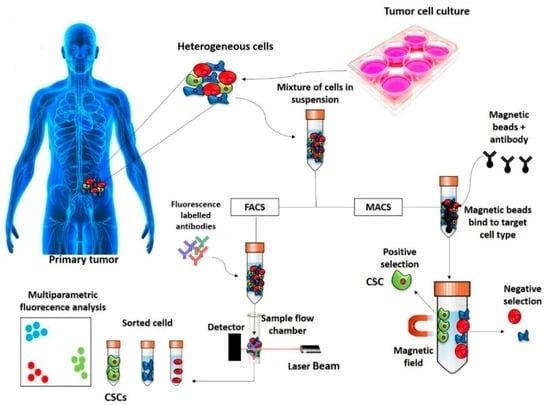 Unveiling Cancer: A Comprehensive Exploration from Past to Future