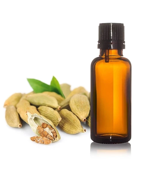 Cardamom Oil Manufacturer Turkey