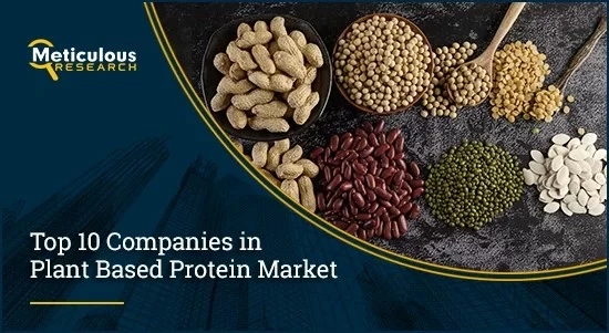 Plant Powerhouses: Top 10 Companies in the Plant-Based Protein Market
