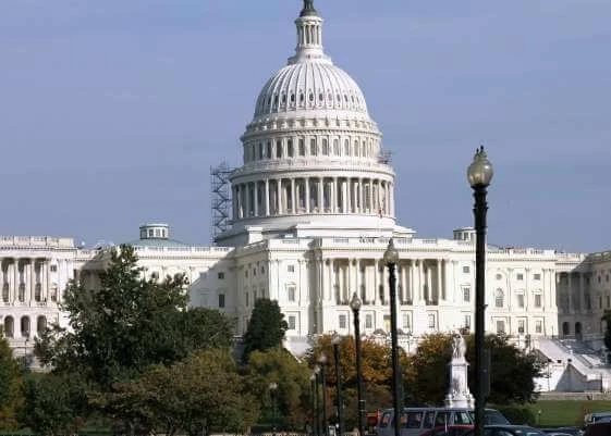 HITT RETAINS CWS FOR PRIVACY/DECORATIVE FILM INSTALLATION PROJECT IN D.C.