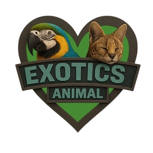 Blue and Gold Macaw Parrots for Sale: Majestic Companions with Heart and Personality