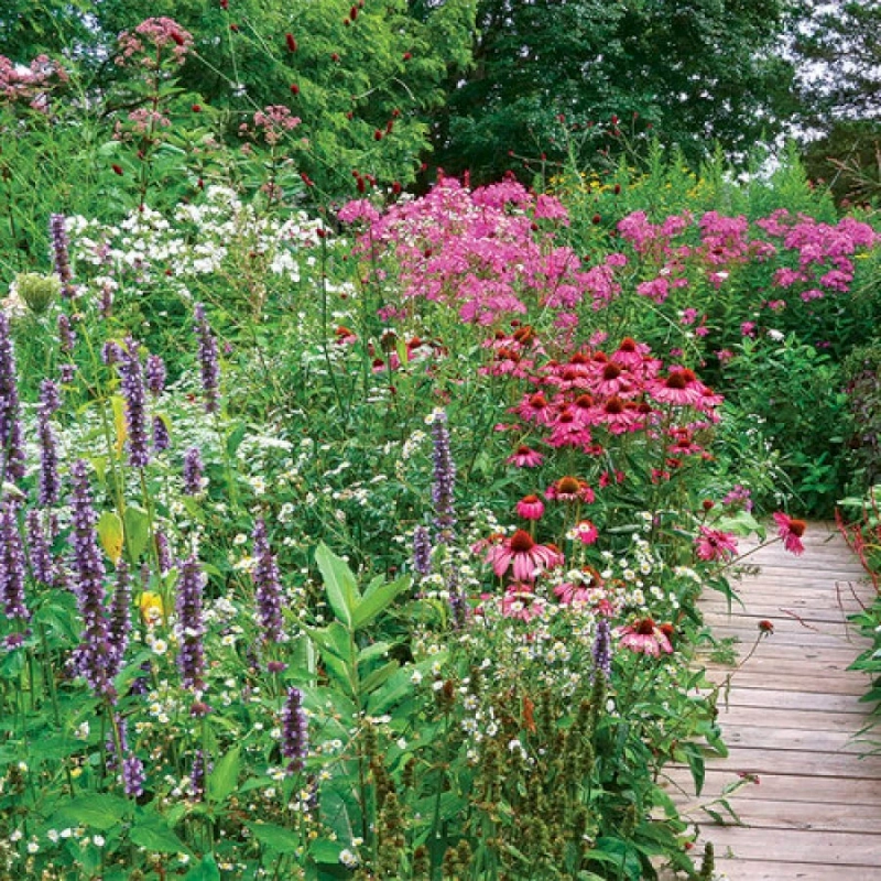 Tour a Stylish Pollinator Garden