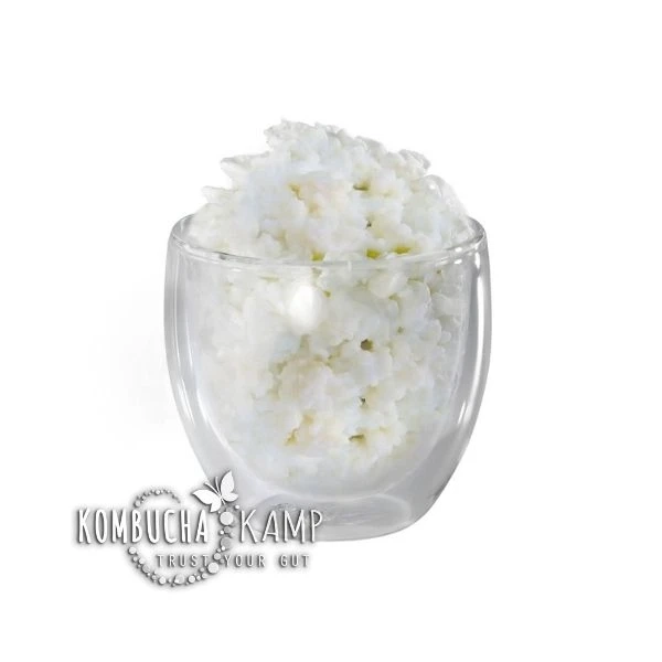 Things Everyone Should Know About Milk Kefir Grains and Water Kefir Grains